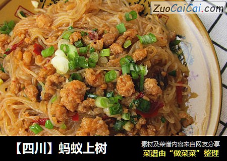 【四川】蚂蚁上树