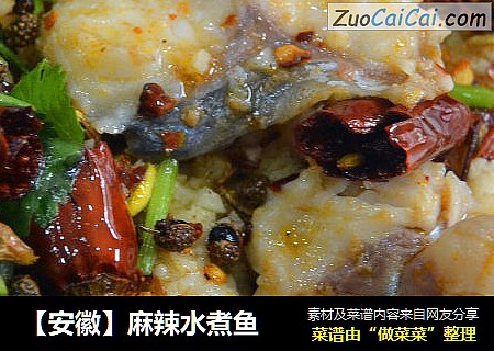 【安徽】麻辣水煮鱼