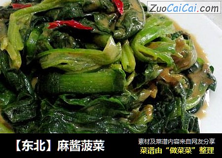 【东北】麻酱菠菜