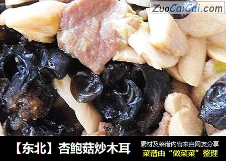 【东北】杏鲍菇炒木耳