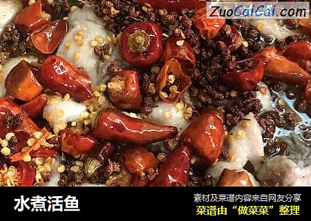 水煮活鱼