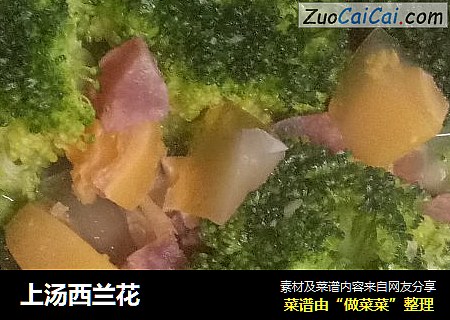 上汤西兰花