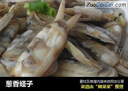 葱香蛏子