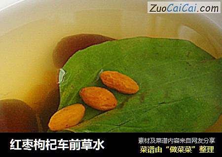 红枣枸杞车前草水