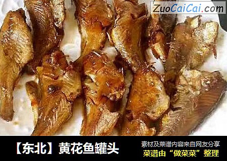 【东北】黄花鱼罐头