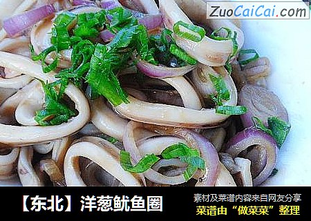 【东北】洋葱鱿鱼圈