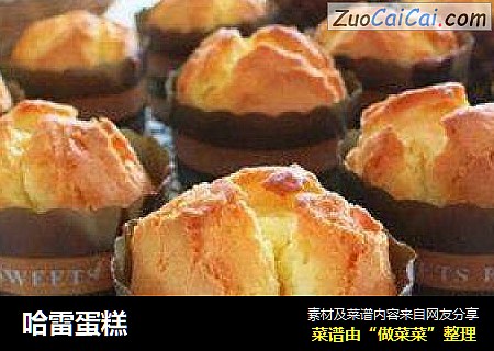 哈雷蛋糕