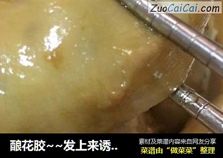 酿花胶~~发上来诱惑大家