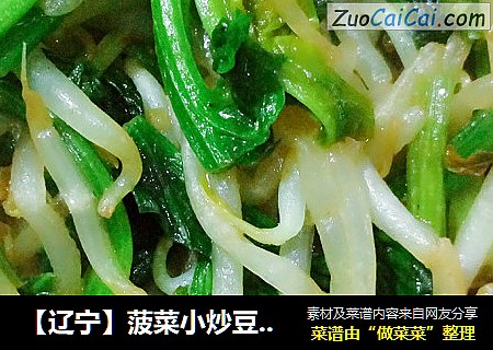 【辽宁】菠菜小炒豆芽菜