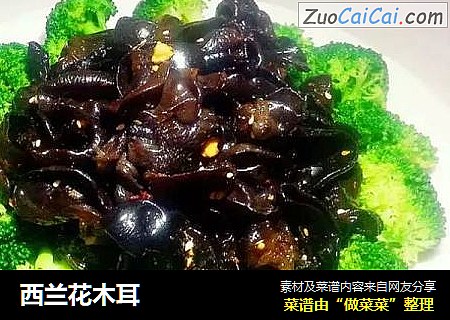 西兰花木耳