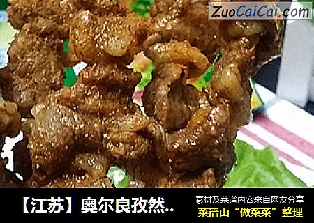 【江苏】奥尔良孜然羊肉串（微波版）