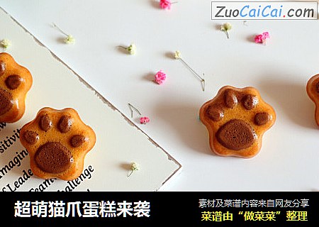 超萌猫爪蛋糕来袭