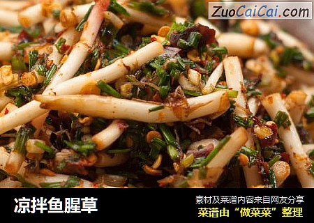凉拌鱼腥草