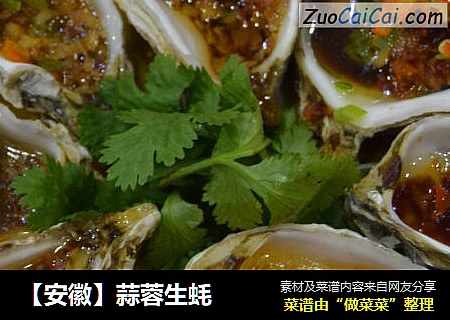 【安徽】蒜蓉生蚝