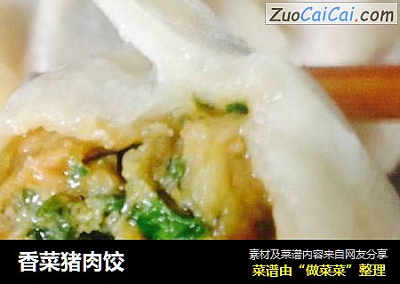 香菜猪肉饺