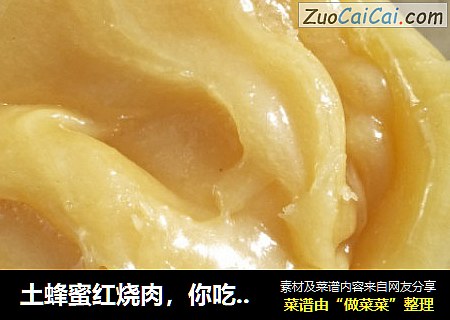 土蜂蜜红烧肉，你吃过吗？
