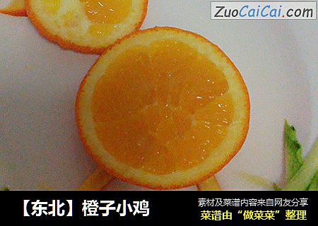 【东北】橙子小鸡