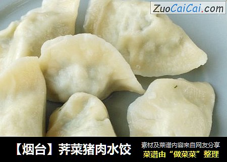 【烟台】荠菜猪肉水饺
