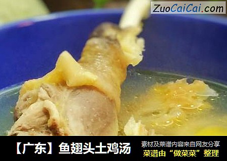 【广东】鱼翅头土鸡汤