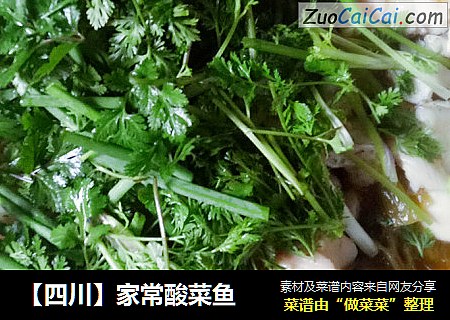 【四川】家常酸菜鱼