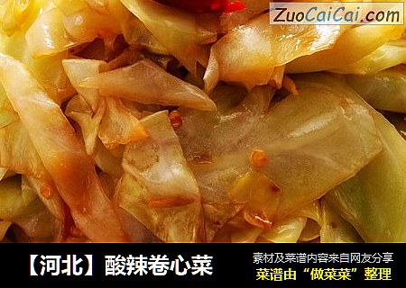 【河北】酸辣卷心菜