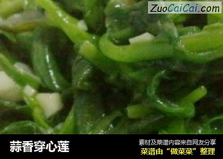 蒜香穿心莲