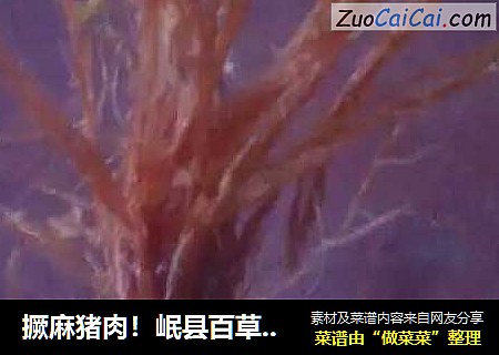 撅麻猪肉！岷县百草阁特产