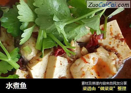 水煮鱼
