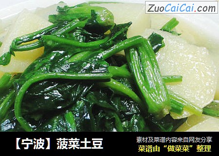 【宁波】菠菜土豆