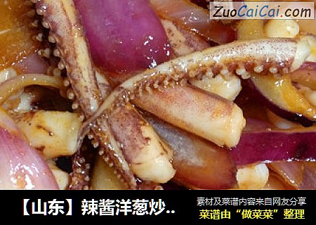 【山东】辣酱洋葱炒鱿鱼须