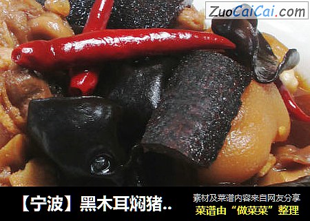 【宁波】黑木耳焖猪蹄 