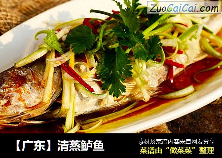 【广东】清蒸鲈鱼
