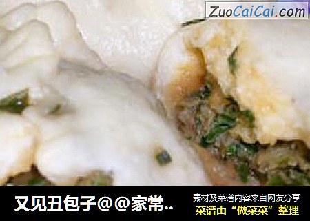又见丑包子@@家常猪肉韭菜包