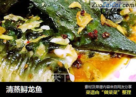 清蒸鲟龙鱼