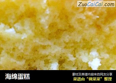海绵蛋糕