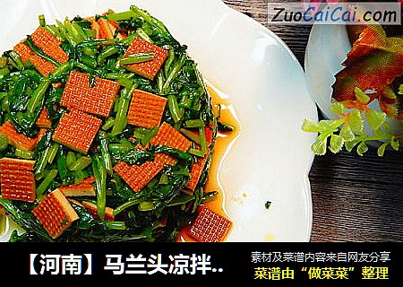 【河南】马兰头凉拌香干