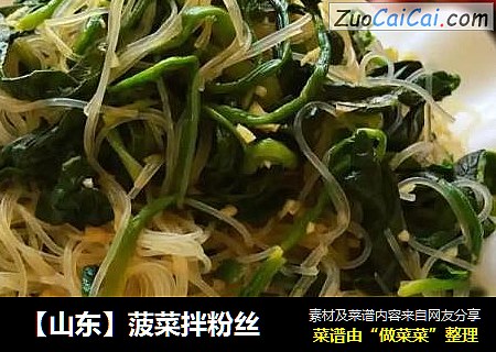 【山东】菠菜拌粉丝