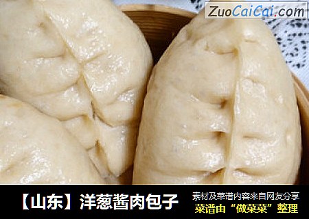 【山东】洋葱酱肉包子