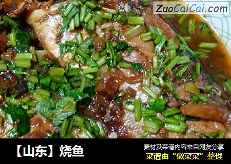 【山东】烧鱼