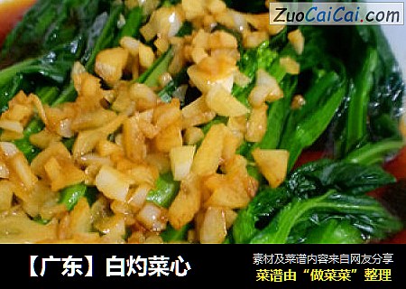 【广东】白灼菜心