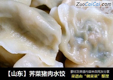 【山东】荠菜猪肉水饺
