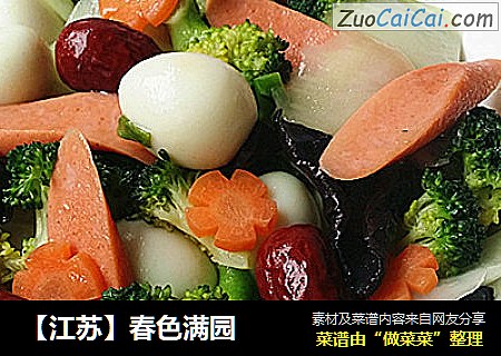 【江苏】春色满园