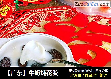 【广东】牛奶炖花胶
