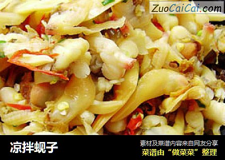 凉拌蚬子