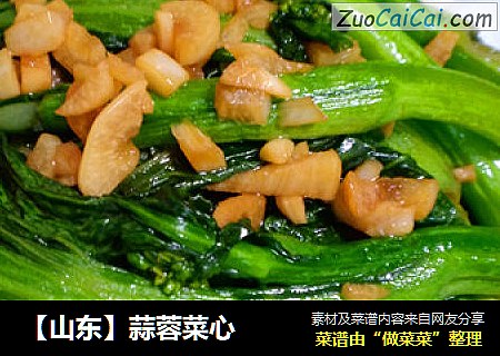【山东】蒜蓉菜心