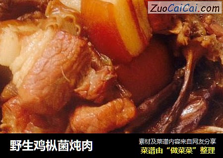 野生鸡枞菌炖肉