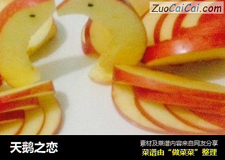 天鹅之恋