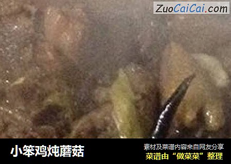小笨鸡炖蘑菇