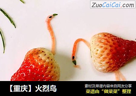 【重庆】火烈鸟