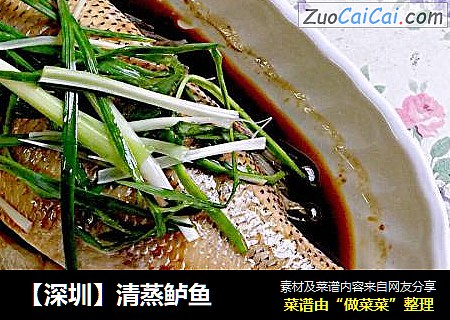 【深圳】清蒸鲈鱼